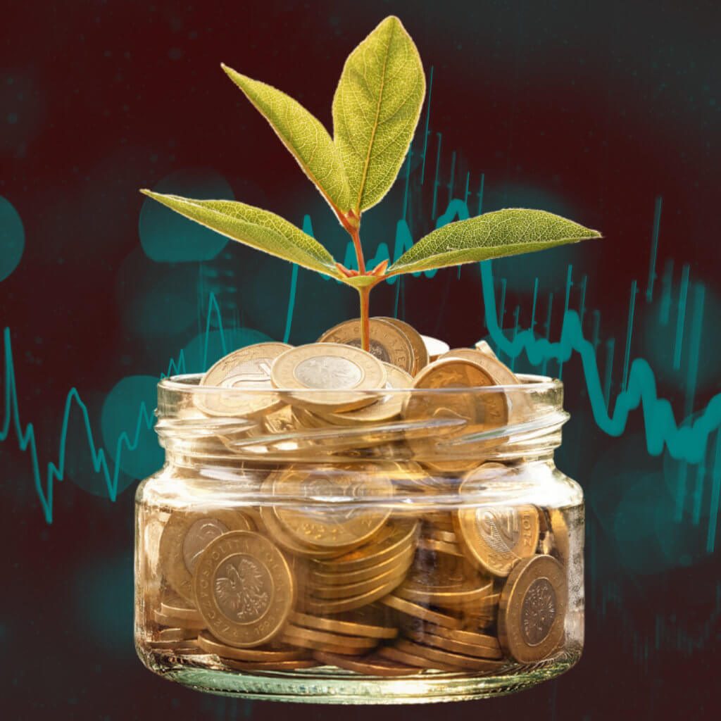 savings-account Savings Account